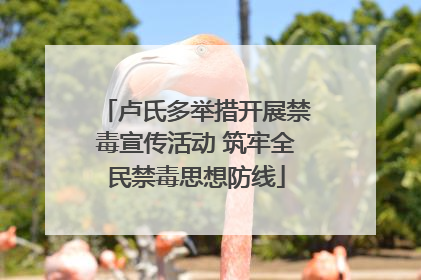 卢氏多举措开展禁毒宣传活动 筑牢全民禁毒思想防线