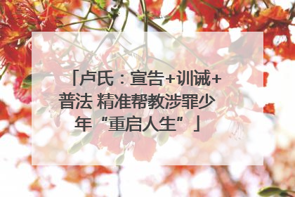 卢氏：宣告+训诫+普法 精准帮教涉罪少年“重启人生”