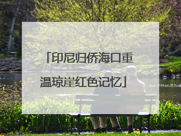印尼归侨海口重温琼崖红色记忆