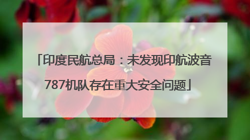 印度民航总局：未发现印航波音787机队存在重大安全问题