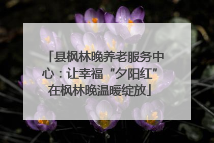 县枫林晚养老服务中心：让幸福“夕阳红”在枫林晚温暖绽放