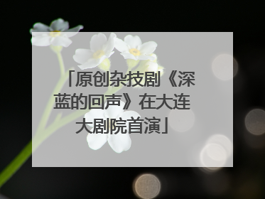 原创杂技剧《深蓝的回声》在大连大剧院首演
