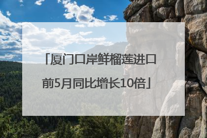 厦门口岸鲜榴莲进口 前5月同比增长10倍