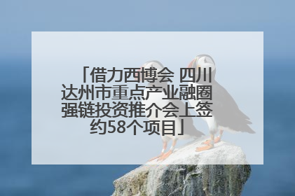 借力西博会 四川达州市重点产业融圈强链投资推介会上签约58个项目