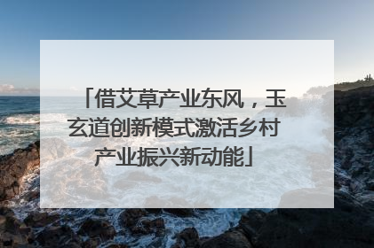 借艾草产业东风，玉玄道创新模式激活乡村产业振兴新动能
