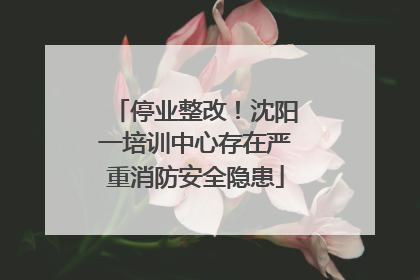 停业整改！沈阳一培训中心存在严重消防安全隐患
