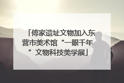 傅家遗址文物加入东营市美术馆“一眼千年”文物科技美学展