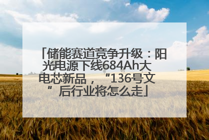 储能赛道竞争升级：阳光电源下线684Ah大电芯新品，“136号文”后行业将怎么走