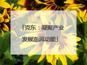 克东：凝聚产业发展澎湃动能