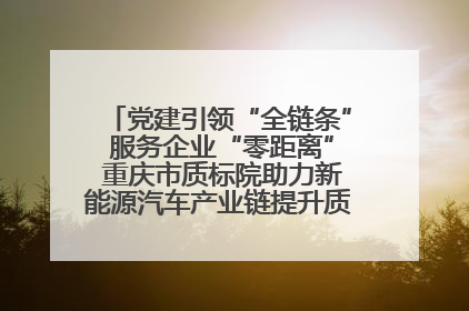 党建引领“全链条” 服务企业“零距离” 重庆市质标院助力新能源汽车产业链提升质量管理水平