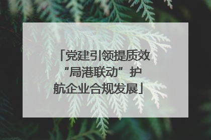 党建引领提质效 “局港联动”护航企业合规发展