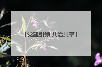 党建引领 共治共享