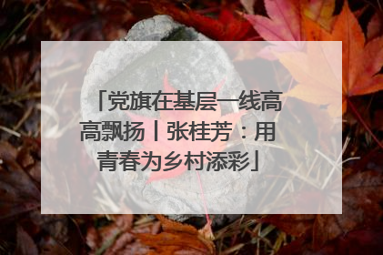 党旗在基层一线高高飘扬丨张桂芳：用青春为乡村添彩