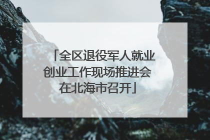 全区退役军人就业创业工作现场推进会在北海市召开