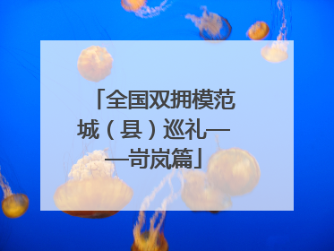 全国双拥模范城（县）巡礼——岢岚篇