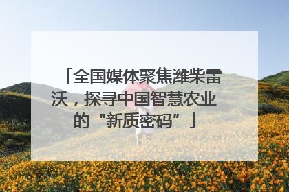 全国媒体聚焦潍柴雷沃，探寻中国智慧农业的“新质密码”