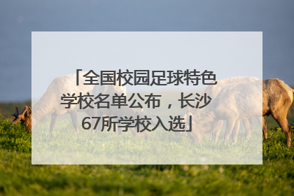 全国校园足球特色学校名单公布，长沙67所学校入选