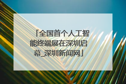 全国首个人工智能终端展在深圳启幕_深圳新闻网