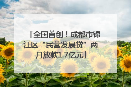 全国首创！成都市锦江区“民营发展贷”两月放款1.7亿元