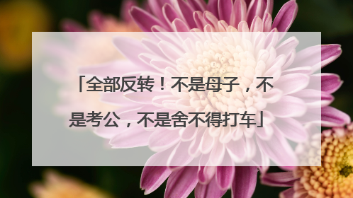 全部反转！不是母子，不是考公，不是舍不得打车