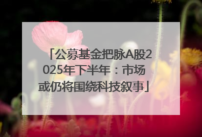公募基金把脉A股2025年下半年：市场或仍将围绕科技叙事