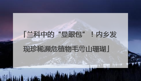 兰科中的“显眼包”！内乡发现珍稀濒危植物毛萼山珊瑚