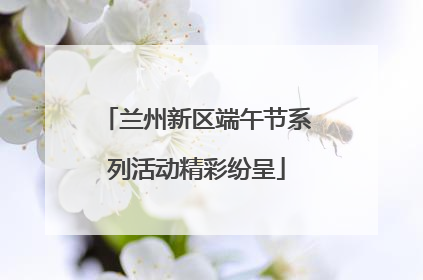 兰州新区端午节系列活动精彩纷呈