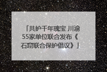 共护千年瑰宝 川渝55家单位联合发布《石窟联合保护倡议》