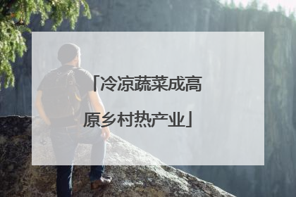 冷凉蔬菜成高原乡村热产业