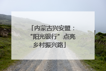内蒙古兴安盟：“阳光银行”点亮乡村振兴路