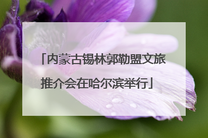 内蒙古锡林郭勒盟文旅推介会在哈尔滨举行