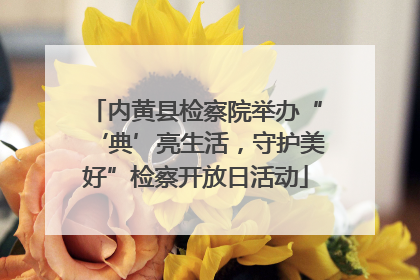 内黄县检察院举办“‘典’亮生活，守护美好”检察开放日活动