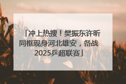 冲上热搜！樊振东许昕同框现身河北雄安，备战2025乒超联赛