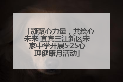 凝聚心力量，共绘心未来 宜宾三江新区宋家中学开展5·25心理健康月活动