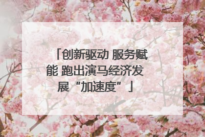 创新驱动 服务赋能 跑出演马经济发展“加速度”
