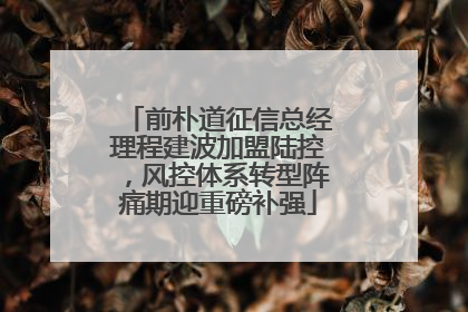 前朴道征信总经理程建波加盟陆控，风控体系转型阵痛期迎重磅补强
