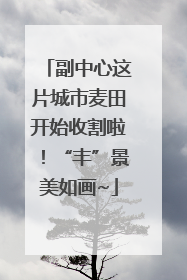 副中心这片城市麦田开始收割啦！“丰”景美如画~