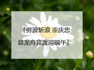 劈波斩浪 重庆忠县龙舟竞渡迎端午