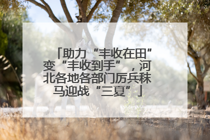 助力“丰收在田”变“丰收到手”，河北各地各部门厉兵秣马迎战“三夏”
