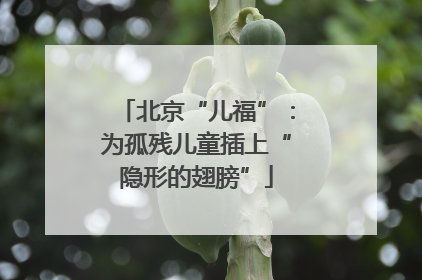北京“儿福”：为孤残儿童插上“隐形的翅膀”