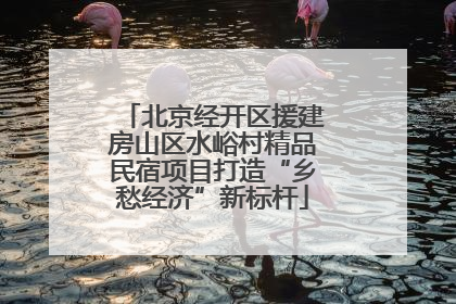 北京经开区援建房山区水峪村精品民宿项目打造“乡愁经济”新标杆