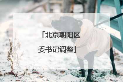 北京朝阳区委书记调整