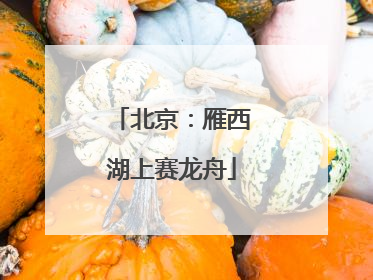 北京：雁西湖上赛龙舟