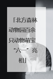北方森林动物园百余只动物萌宝“六一”亮相