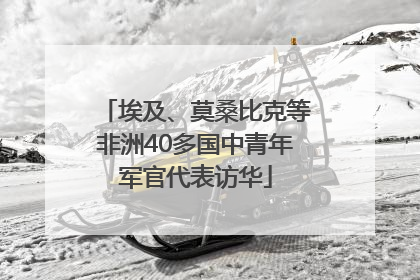 埃及、莫桑比克等非洲40多国中青年军官代表访华