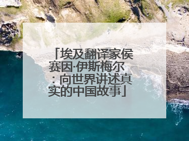 埃及翻译家侯赛因·伊斯梅尔：向世界讲述真实的中国故事