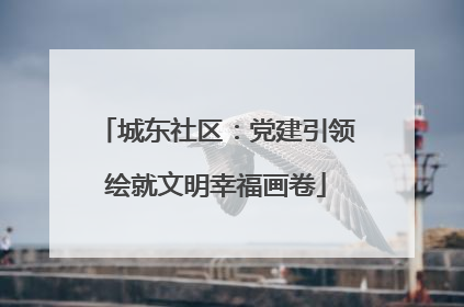 城东社区：党建引领绘就文明幸福画卷