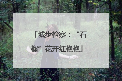 城步检察：“石榴”花开红艳艳