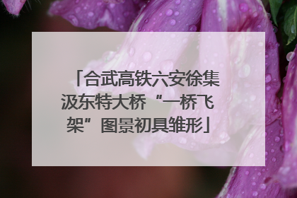 合武高铁六安徐集汲东特大桥“一桥飞架”图景初具雏形