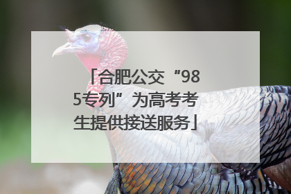 合肥公交“985专列”为高考考生提供接送服务